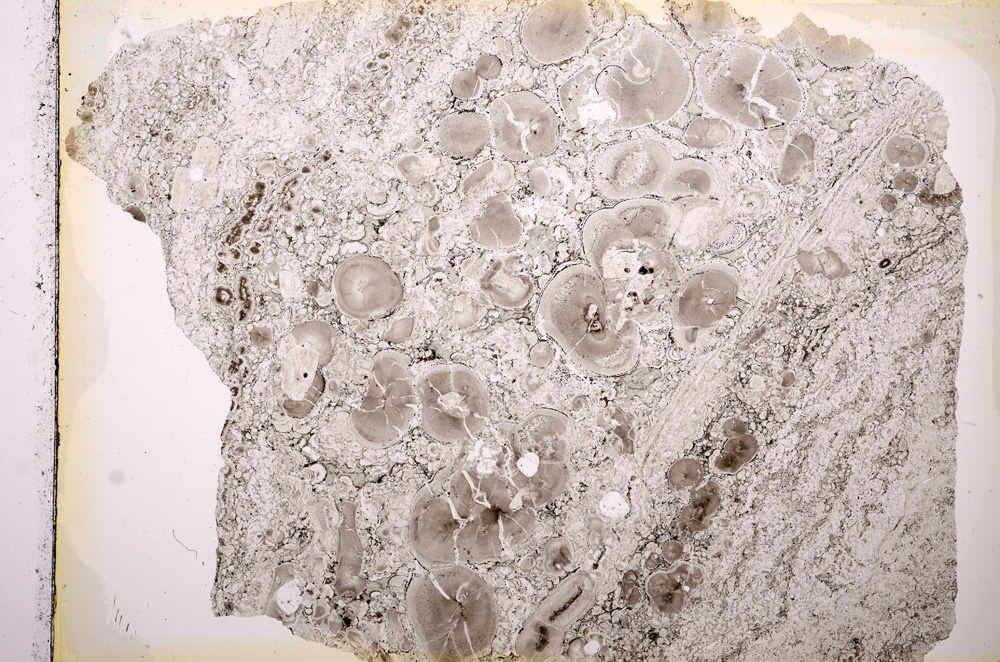 Plane Polarized, E13873