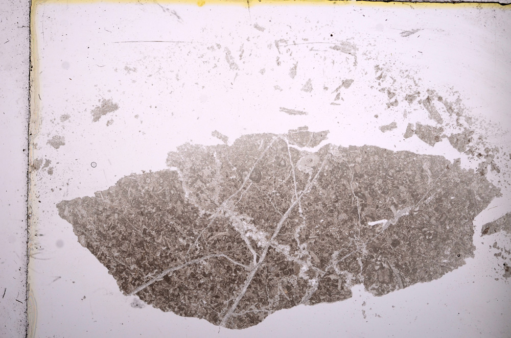 Plane Polarized, E13908