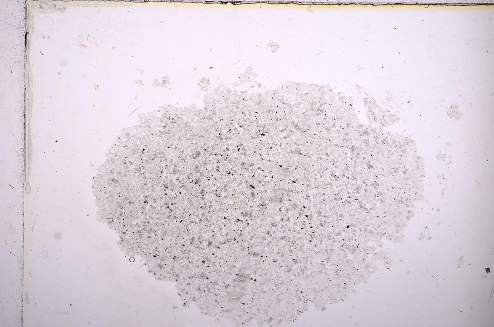 Plane Polarized, E13914