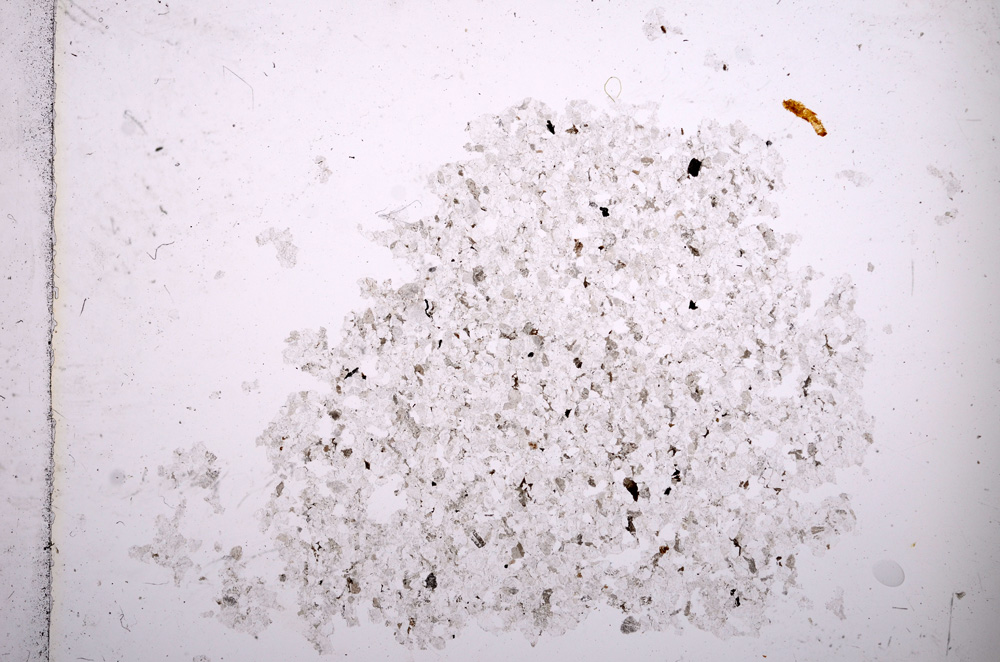 Plane Polarized, E13923