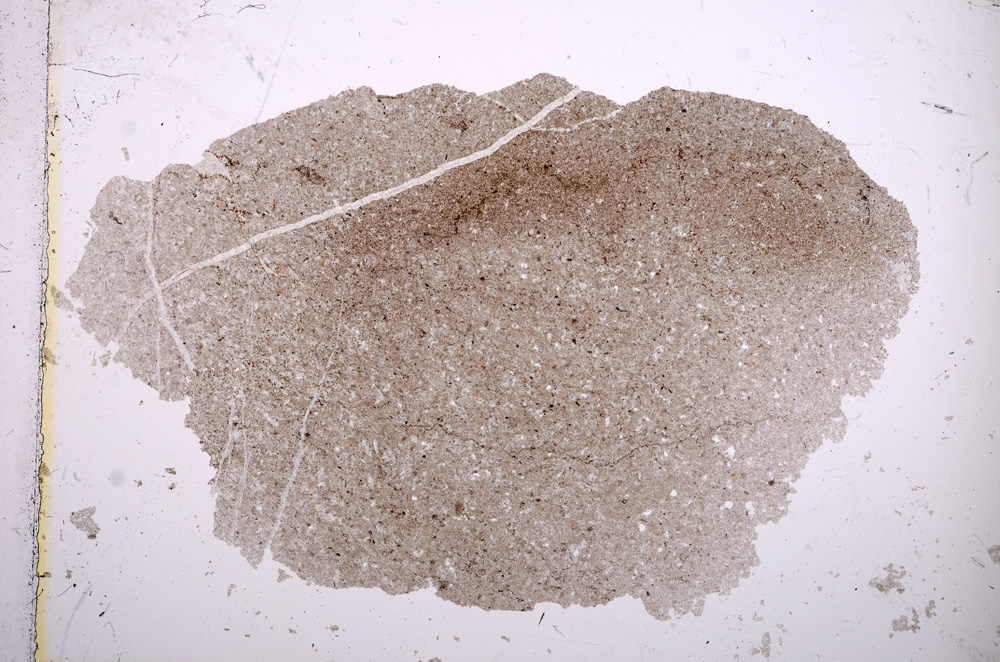 Plane Polarized, E13990