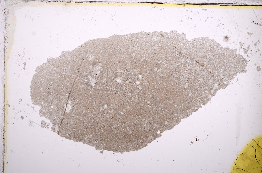 Plane Polarized, E13991