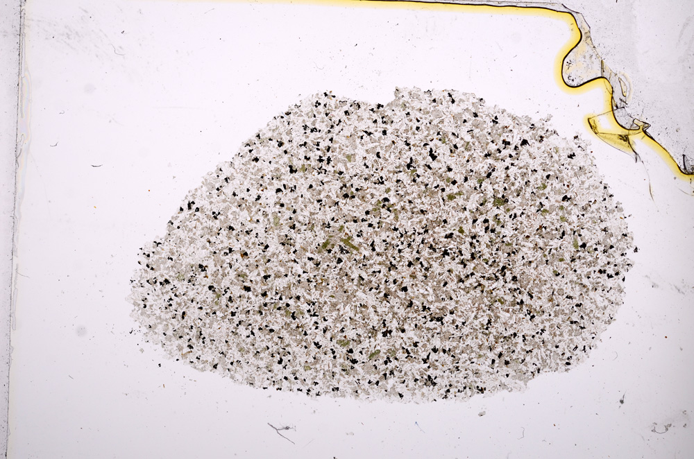 Plane Polarized, E14199