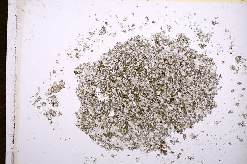 Plane Polarized, E14211