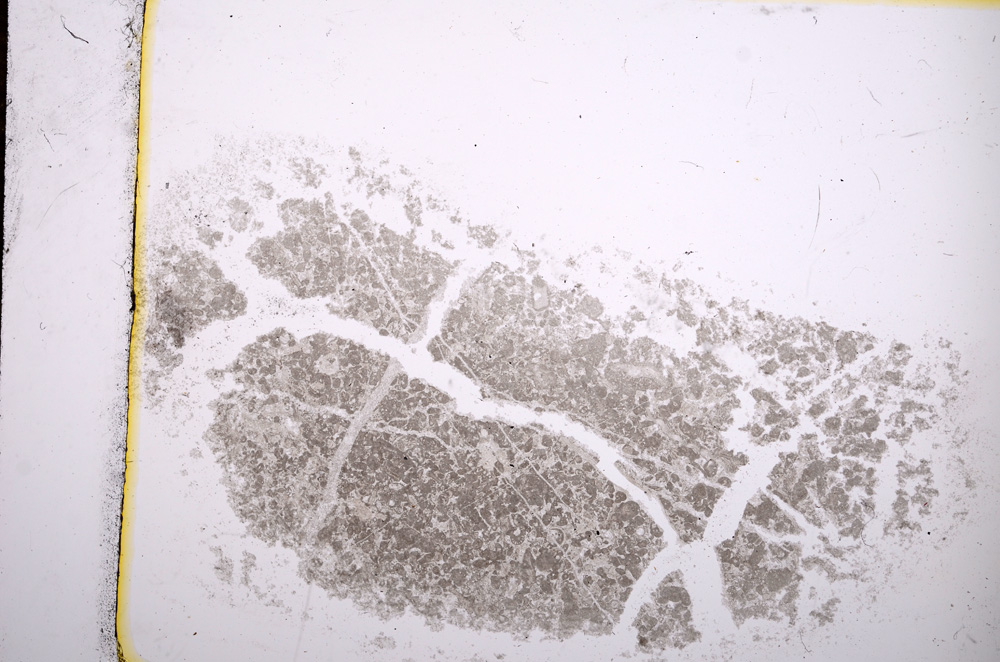 Plane Polarized, E14272