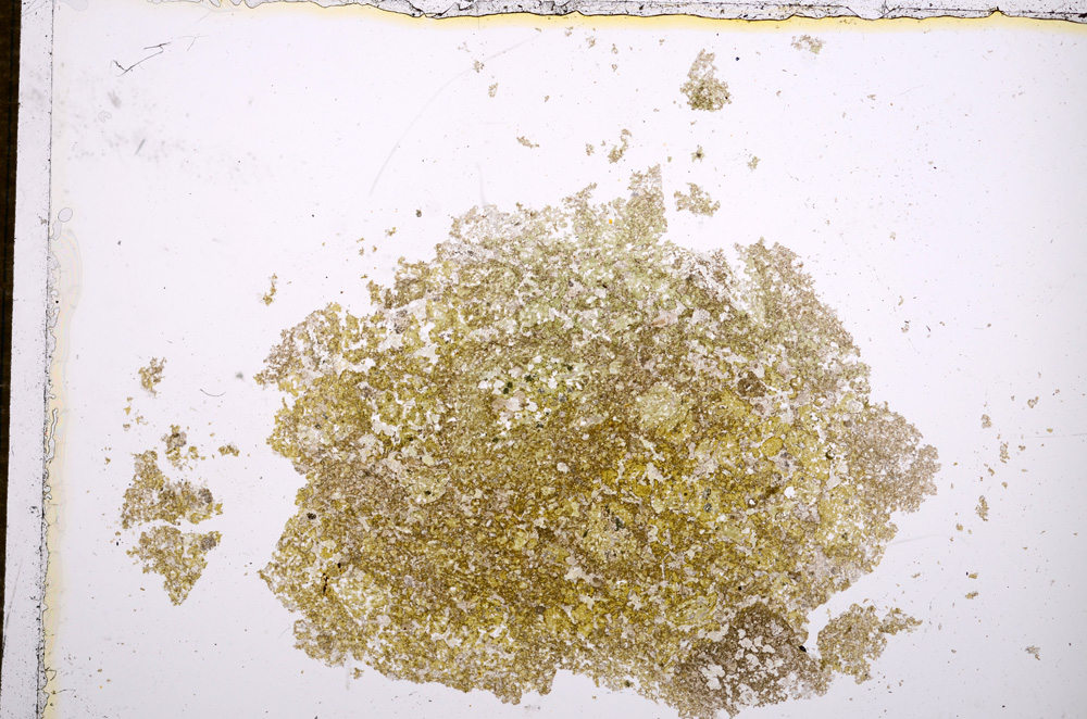 Plane Polarized, E14321