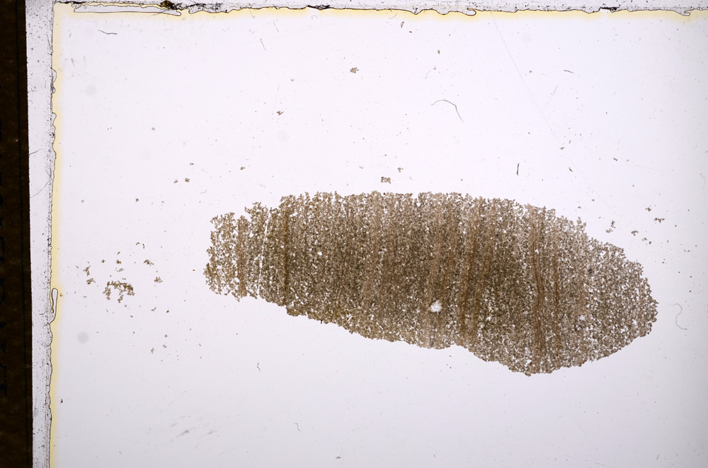 Plane Polarized, E14323