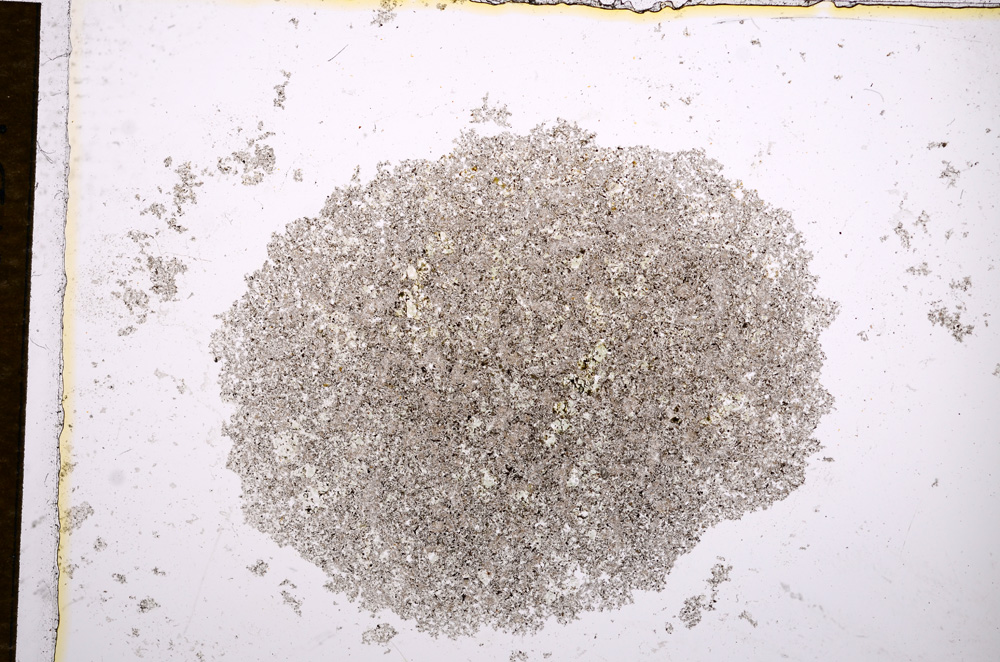 Plane Polarized, E14325