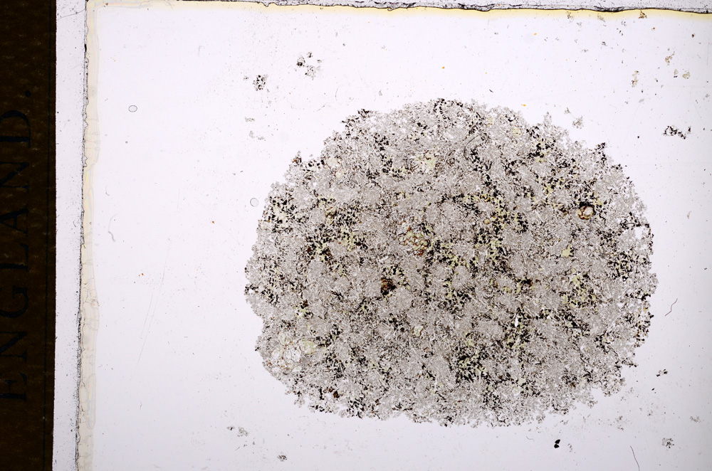 Plane Polarized, E14327