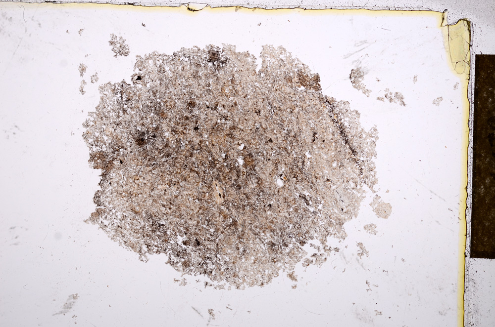 Plane Polarized, E14328