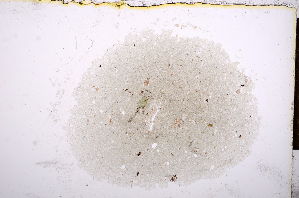 Plane Polarized, E14330