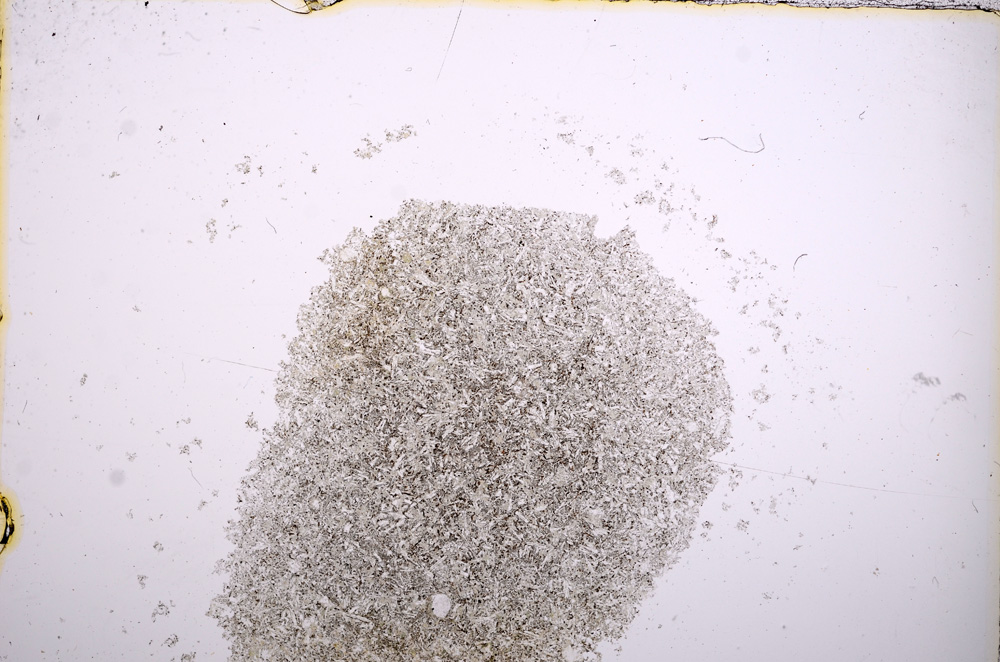 Plane Polarized, E14347