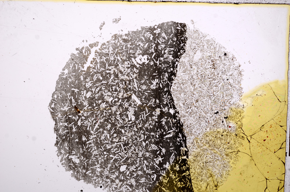 Plane Polarized, E14350