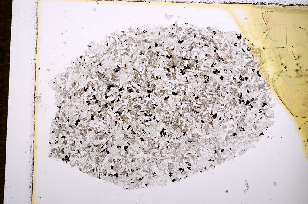 Plane Polarized, E14351