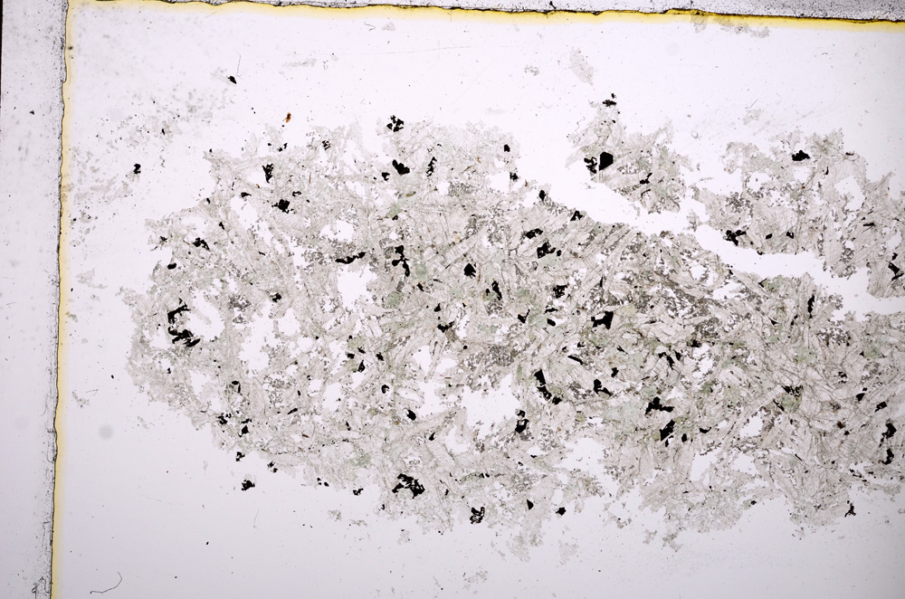 Plane Polarized, E14354