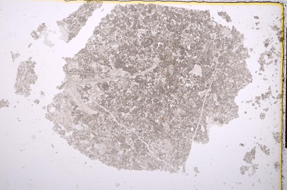 Plane Polarized, E14378