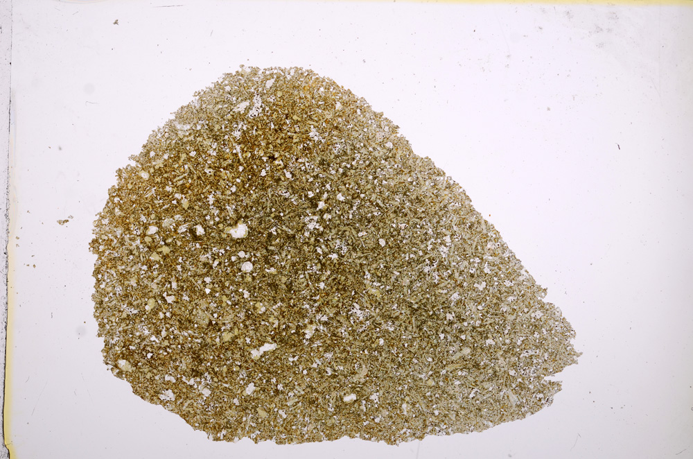 Plane Polarized, E14383