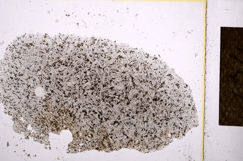 Plane Polarized, E14386