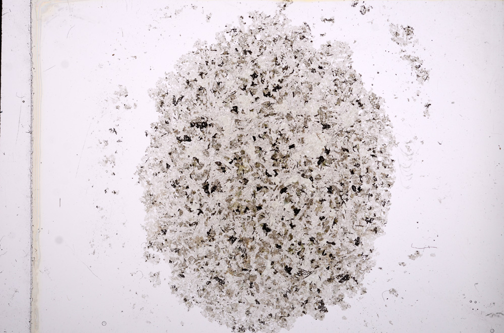 Plane Polarized, E14387