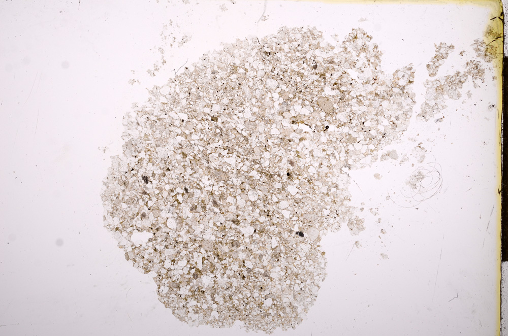 Plane Polarized, E14394