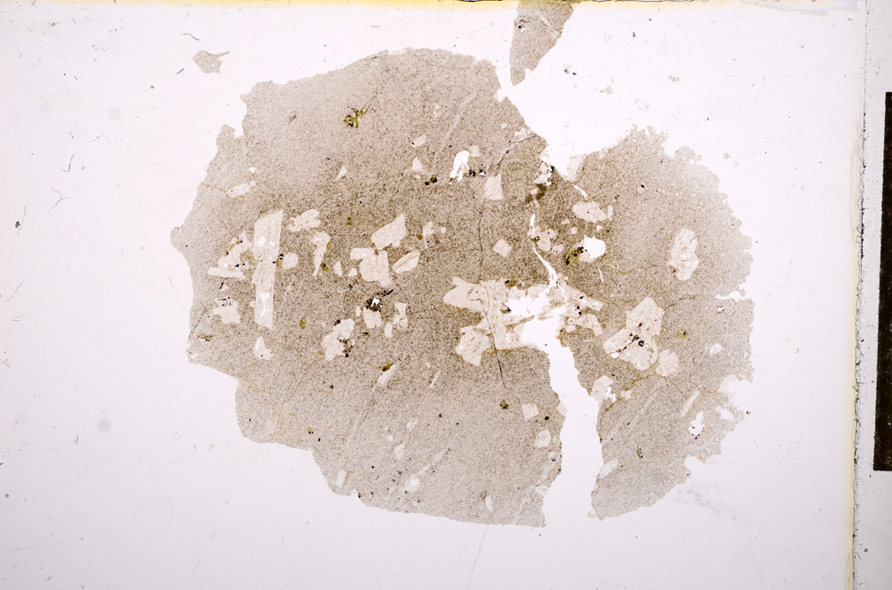 Plane Polarized, E14396