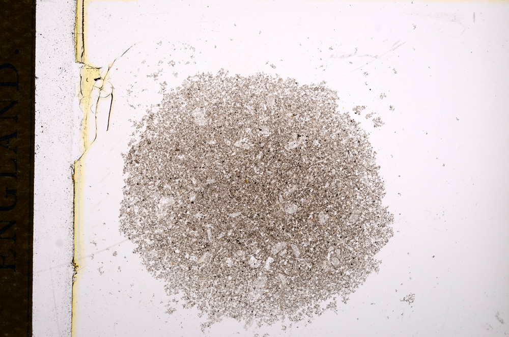 Plane Polarized, E14398