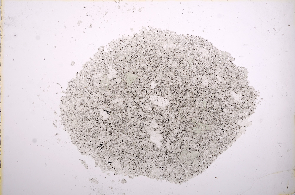 Plane Polarized, E14404