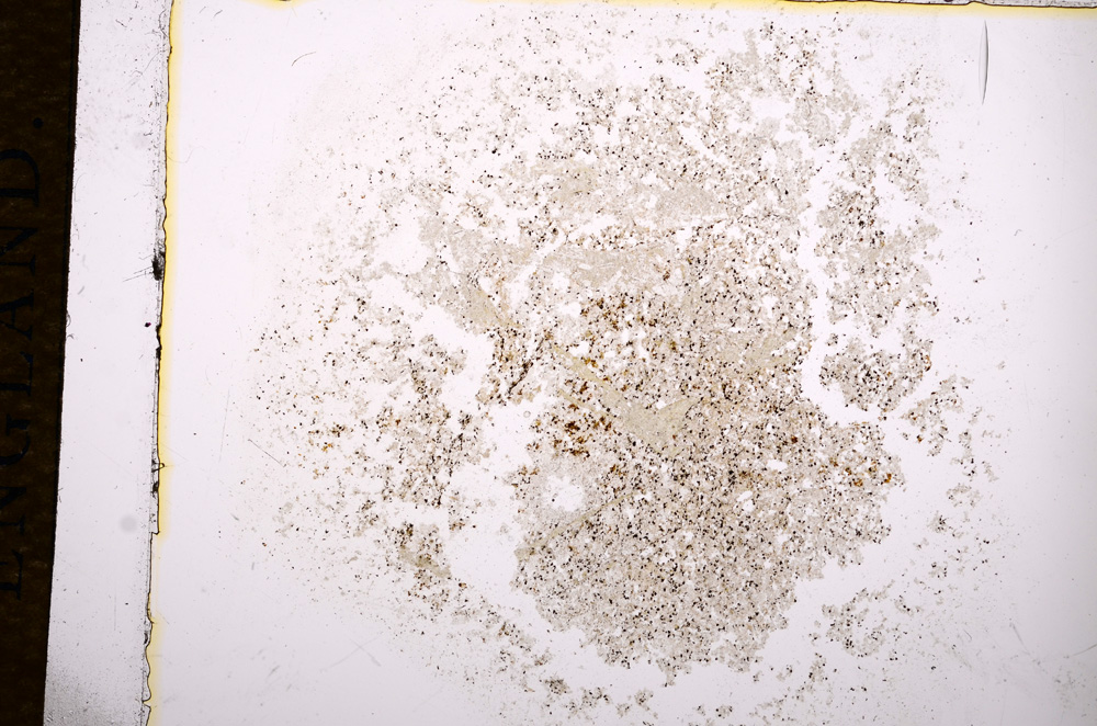 Plane Polarized, E14406