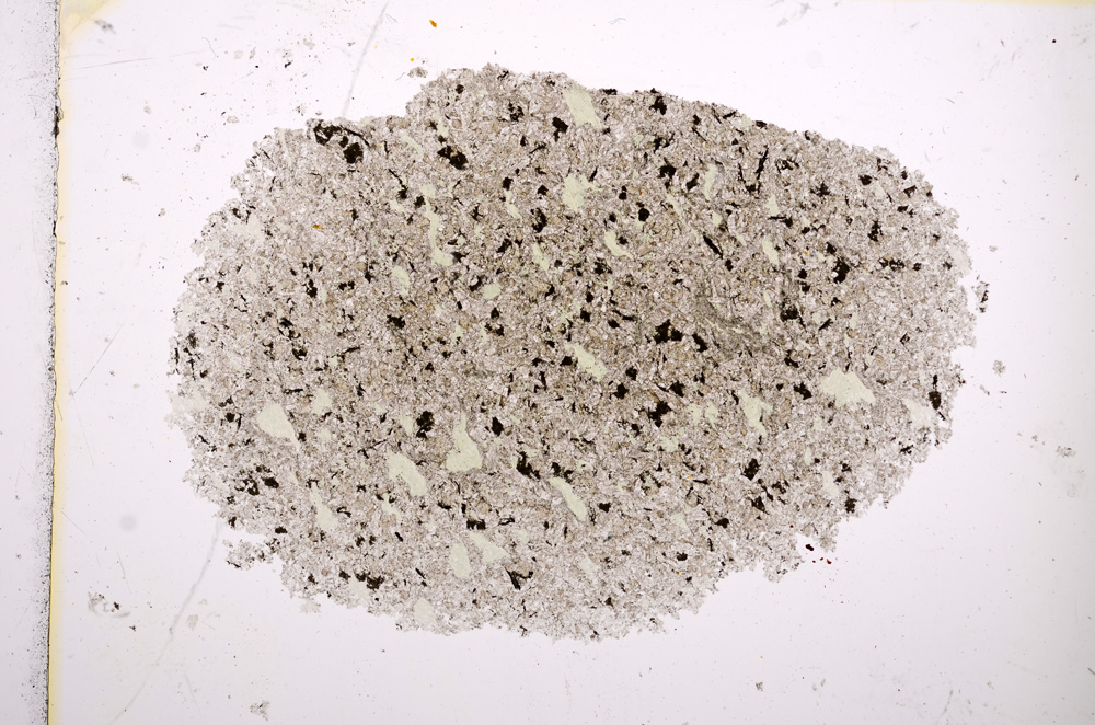 Plane Polarized, E14409