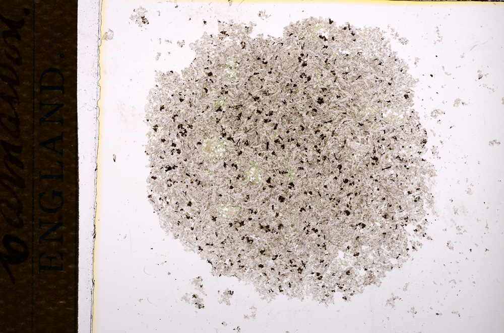 Plane Polarized, E14412