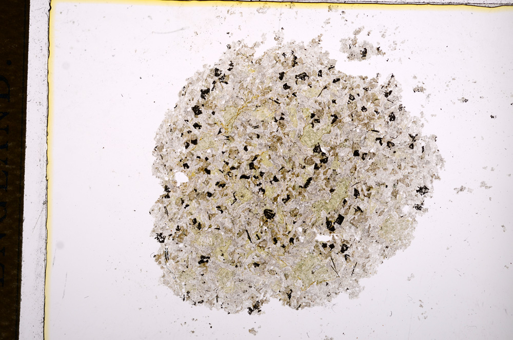 Plane Polarized, E14413