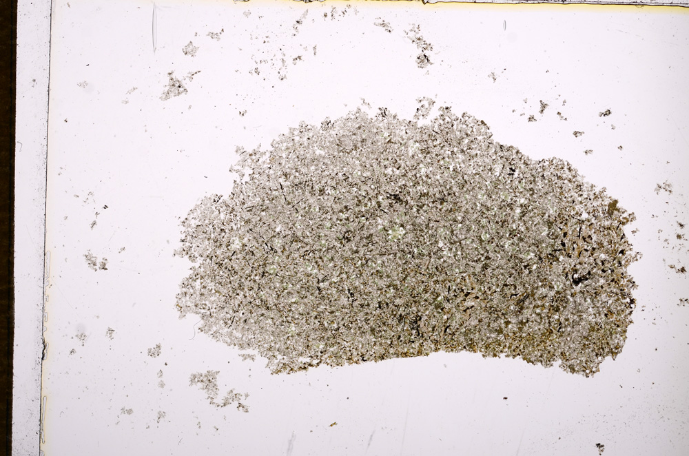 Plane Polarized, E14415