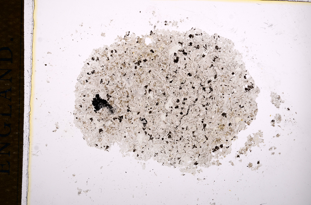 Plane Polarized, E14419