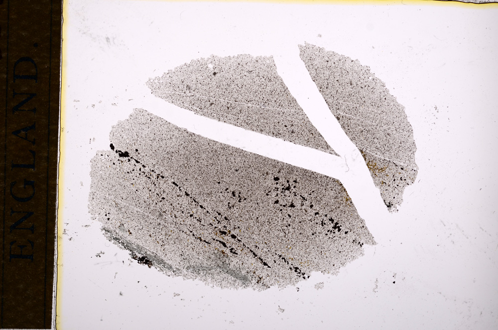 Plane Polarized, E14421