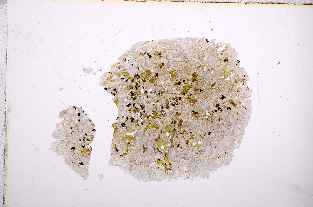 Plane Polarized, E14426