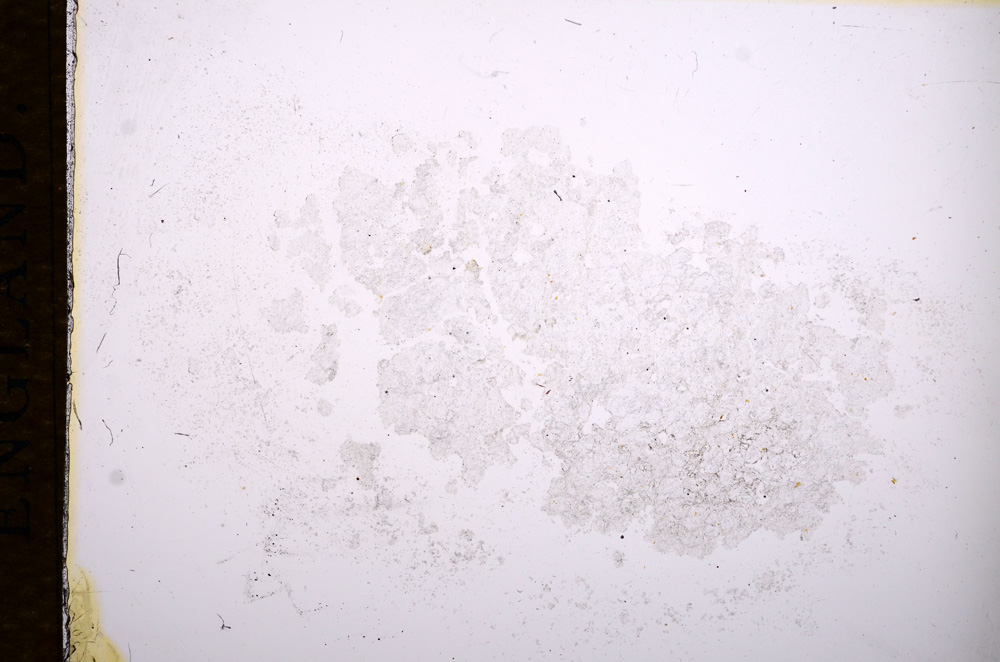 Plane Polarized, E14455