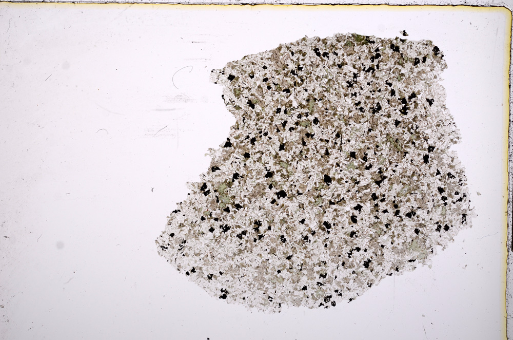 Plane Polarized, E14483