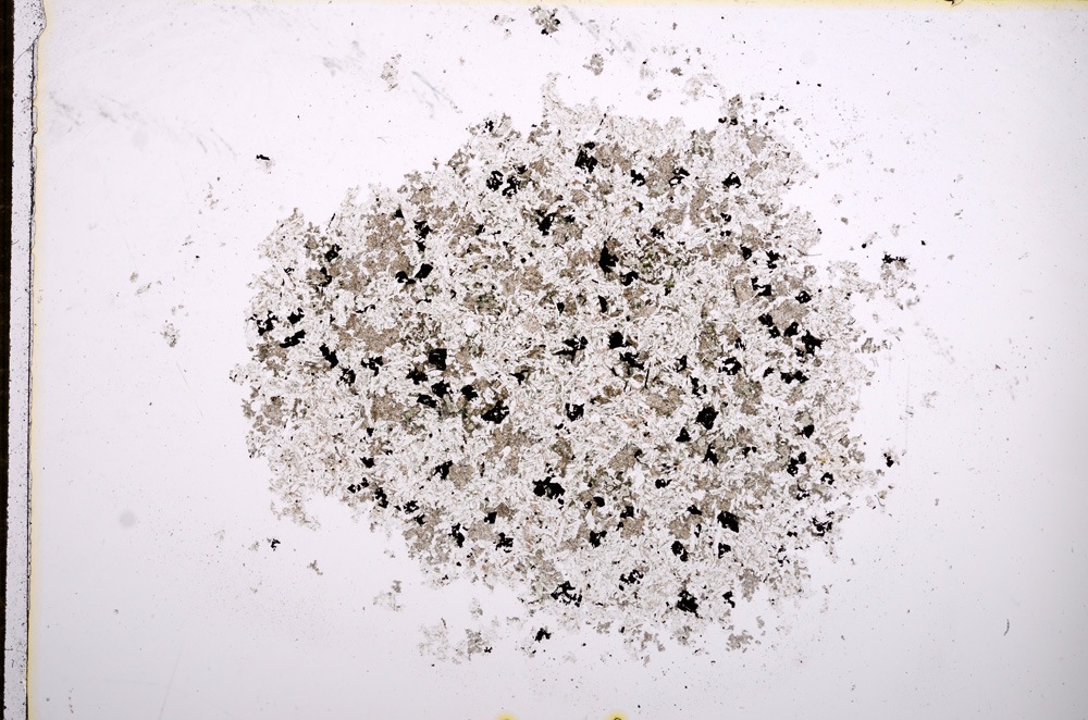 Plane Polarized, E14484