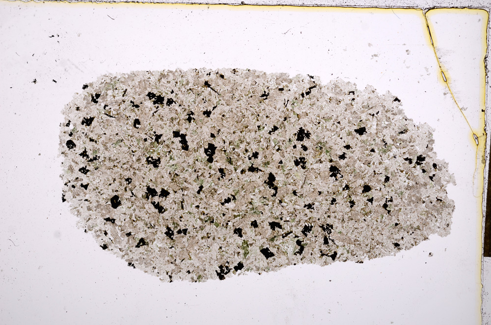 Plane Polarized, E14485