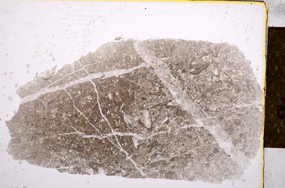 Plane Polarized, E14503