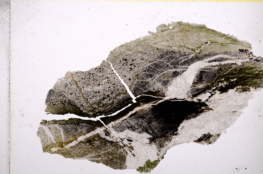 Plane Polarized, E14533