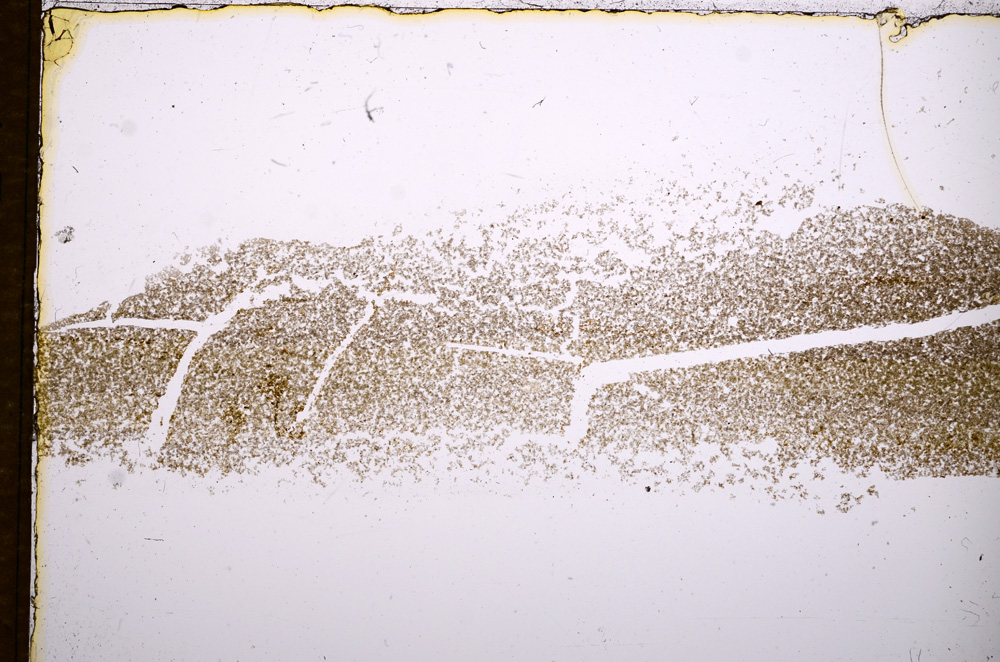 Plane Polarized, E14569