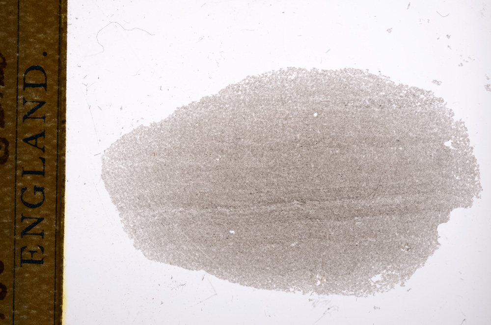 Plane Polarized, E14587