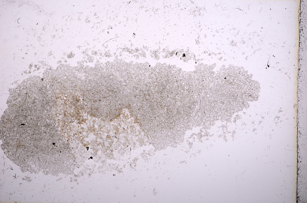 Plane Polarized, E14588