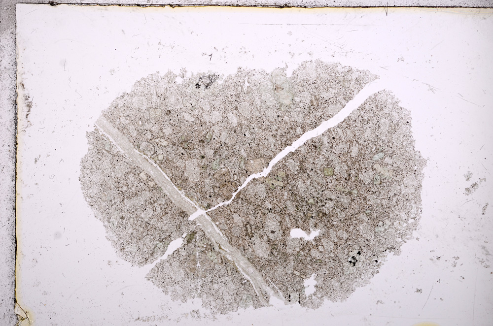 Plane Polarized, E14599