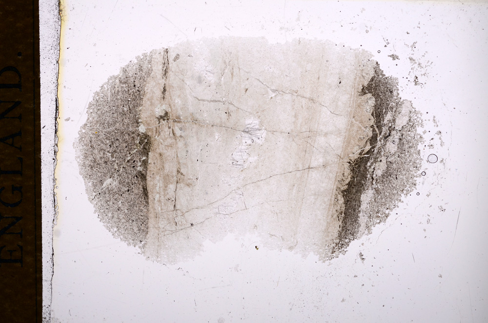 Plane Polarized, E14631