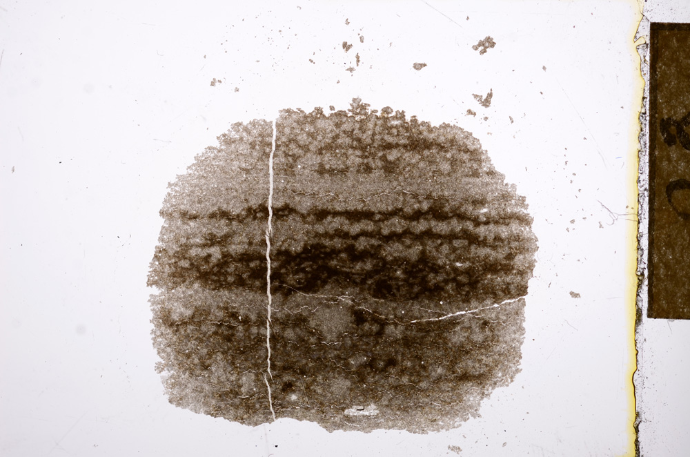 Plane Polarized, E14633