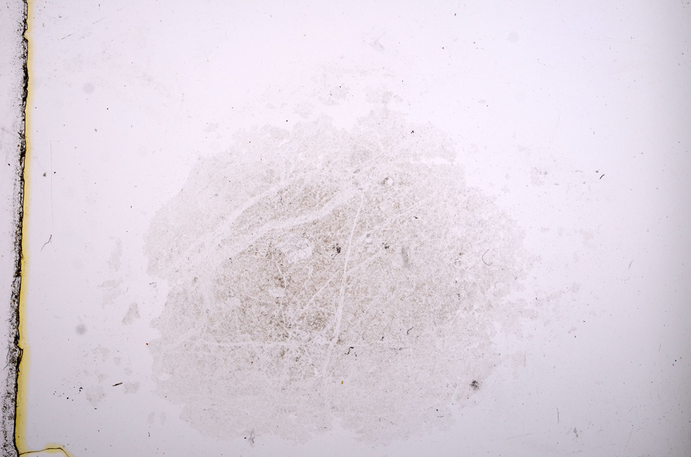 Plane Polarized, E14648