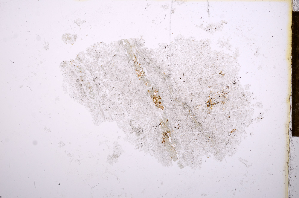 Plane Polarized, E14651