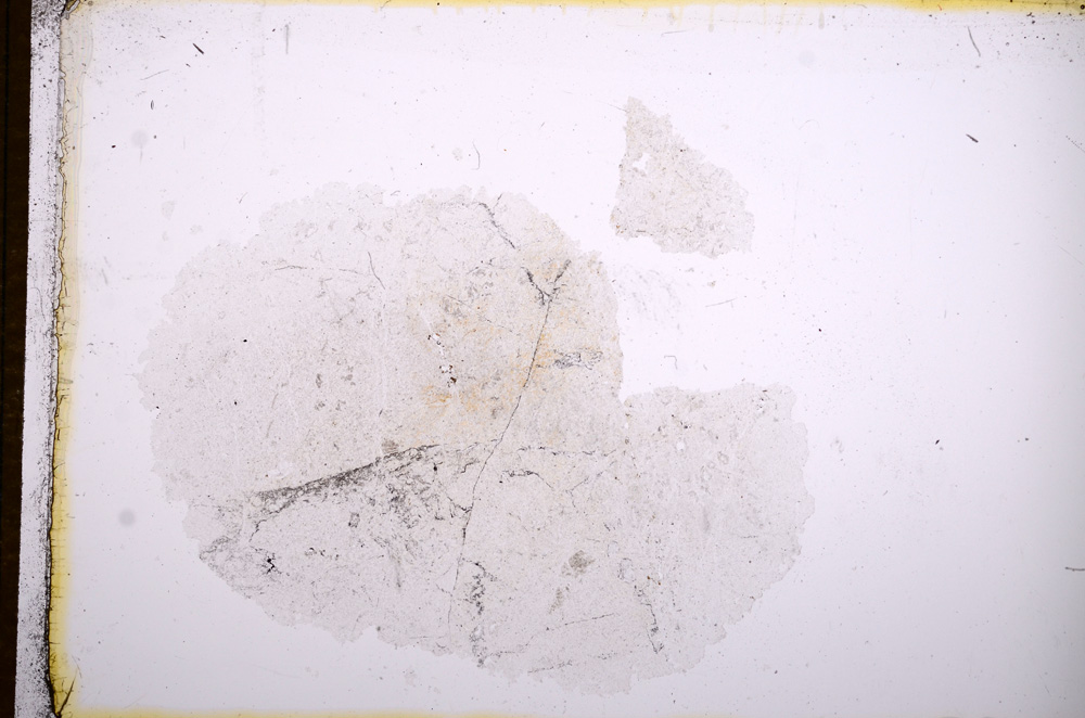 Plane Polarized, E14653